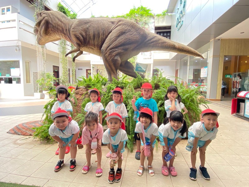 Hoạt động tại Himawari Preschool