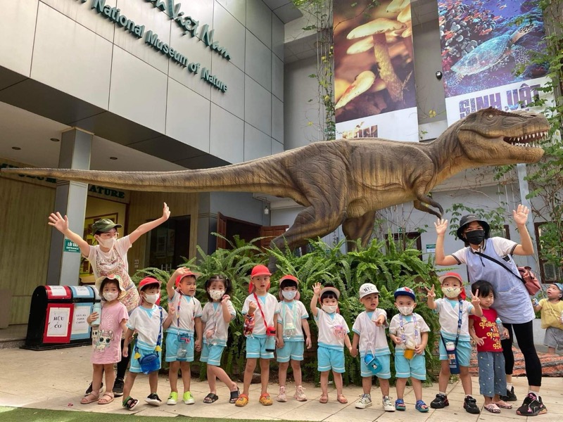 Hoạt động tại Himawari Preschool